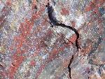 Close up of petrified wood, Petrified Forest National Park7