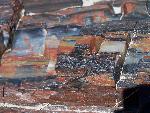 Close up of petrified wood, Petrified Forest National Park8