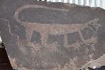 Mountain Lion Petroglyph