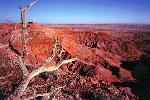 Owl Rock Member, Chinle Formation, Petrified Forest National Wilderness Area