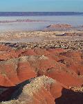 Petrified Forest Member, Chinle Formation, Petrified Forest National Wilderness Area