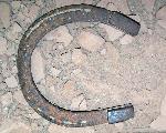 Petrified Forest National Park History-Ranching