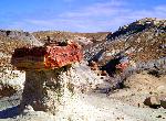 Petrified Forest National Park Scenic-Blue Mesa pedestal log