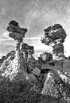 Petrified Forest National Wilderness Area Hoodoos