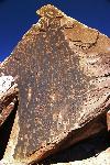 Petrified Forest National Wilderness Area Petroglyphs