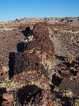 Petrified Log, Giant Logs