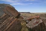 Petrified Logs, Petrified Forest National Park