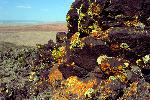 Pilot Rock, Bidahochi Formation and Chinle Formation, Petrified Forest National Wilderness Area