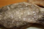 Quartz crystals in petrified wood, Petrified Forest National Park
