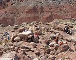 RASI for Petroglyphs, Petrified Forest National Park