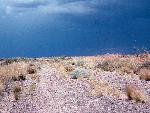 Route 66 east alignment, Petrified Forest National Park