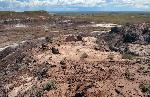 Sivu'ovi, Petrified Forest National Park