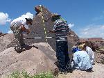 Surveying Petroglyphs, Petrified Forest National Park