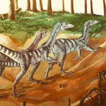 artist rendition of Coelophysis, an early dinosaur