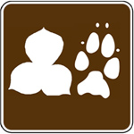 rec sign style theme biology