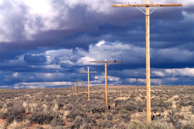 telephone poles on Rt 66