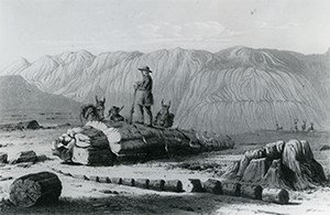 etching of soldiers and horses among petrified logs and badlands