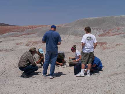 students and teachers watch during a fossil excavation