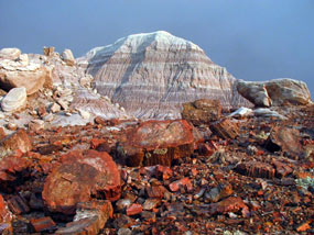 Nature & Science - Petrified Forest National Park285 Nature & Science - Petrified Forest National Park285