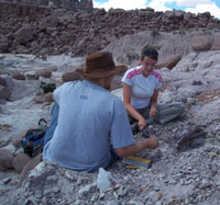 digging for fossils