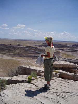 artist standing at overlook