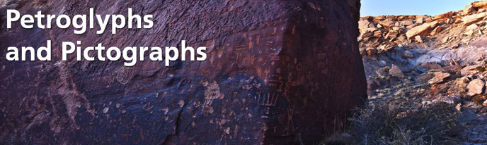 petro banner
