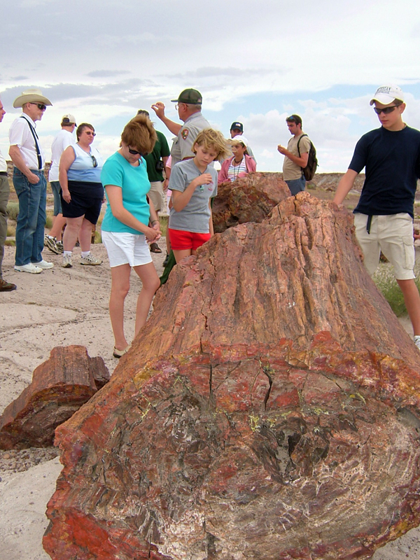 Ranger Program at Giant Logs