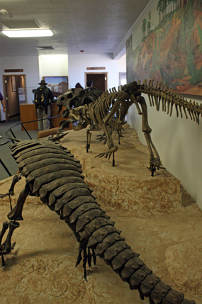 Giant Reptile Diorama in Rainbow Forest Museum