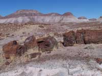 petrified log and color-banded badland hills