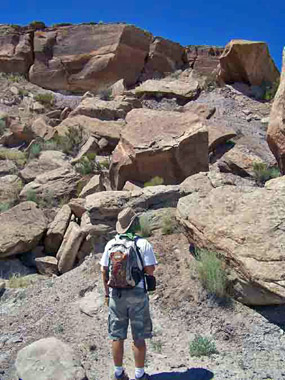 Petrified Forest National Wilderness Area Hiker