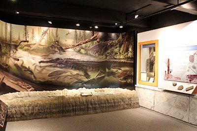 The Blue Mesa displays and Late Triassic mural