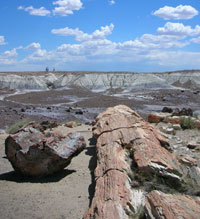 hiking amongst petrified logs at Crystal Forest