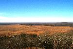 From Overlook