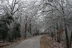 Ice Storm
