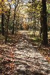 Road near Little Sugar Creek