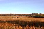 From Visitor's Center