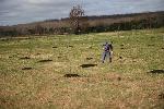 Peach Tree Planting 2