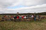 Volunteers and Staff at Unilever Tree Planting