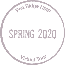 Round image of the American National virtual passport stamp, which states from top to bottom, Pea Ridge NMP, Spring 2020, Virtual Tour.