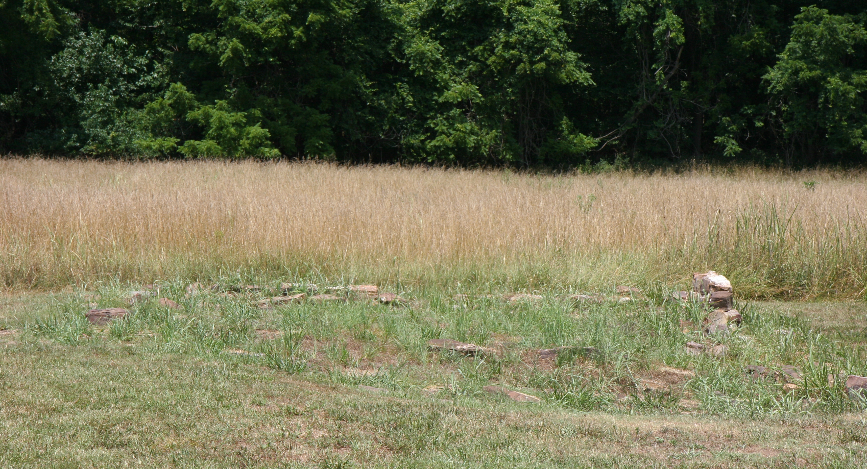 Remains of a building near the site where Pratt's Store stood.  Pratt's Store was used as Union General Curtis' headquarters.