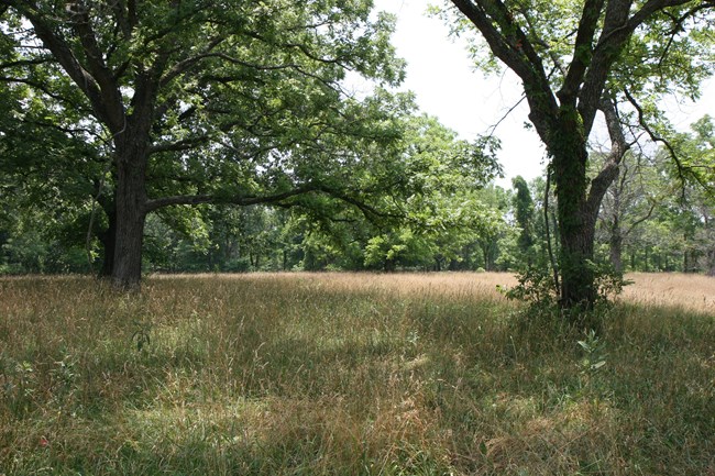 Empty field where the village of Leetown was located.