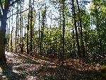 Encampment Trail
