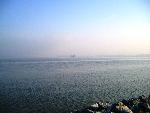 Fog on the River