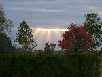Suns Rays