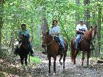 Horseback Riding at Petersburg Nat'l Battlefield