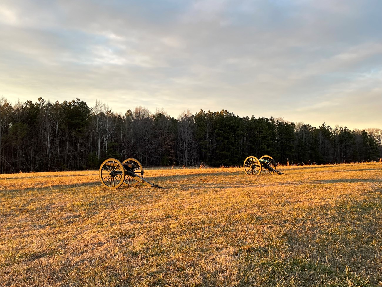 Two cannon in a green illuminated by the golden light of sunset.