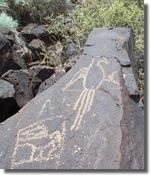 Macaw petorglyph etched on rock