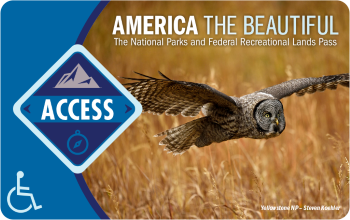 The Interagency Access Pass shows an owl in flight over a grass meadow.