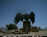 CondorCam - 08/08/06 - 08/10/06