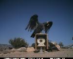 CondorCam Image 09/24/06